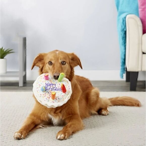 Birthday Cake Plush Dog Toy for Big Dogs Brand New NWT - Picture 2 of 8